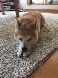 だるくてなかなか仕事に取りかかれないとき