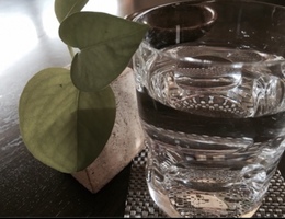 ●説得力のある魅力的な人は日々更新している