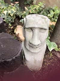 締切前にすでに過去最高の申し込みがあります