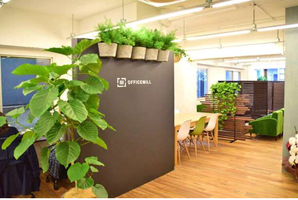 経営者必見・ギスギス職場とイキイキ職場の環境の違い