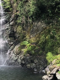 思考の整理で「余白」をつくる