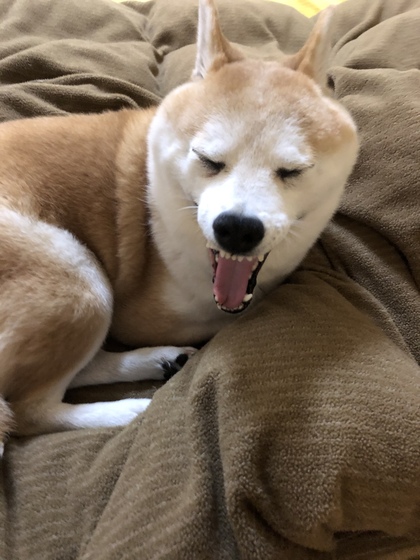 【ゆるす】と楽になる