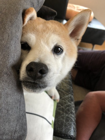 時間がどんどんなくなるワケ