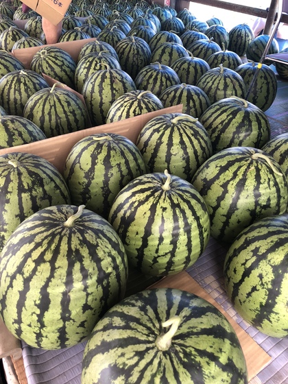 プライベートで新潟へ