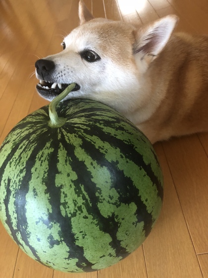 反省会より改善会