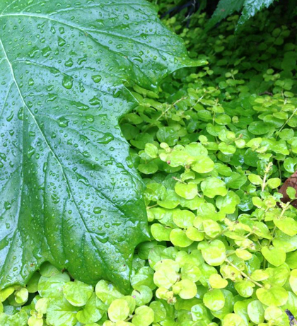 ゆとり、あそび、すきま