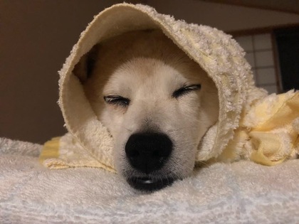 先入観を捨てると”ラク”になる