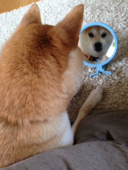 いつもの慣れから離れてみる