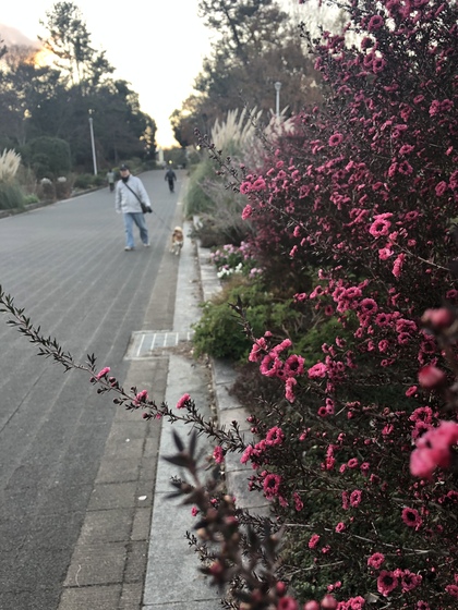 気遣いで私が実践しているひと工夫