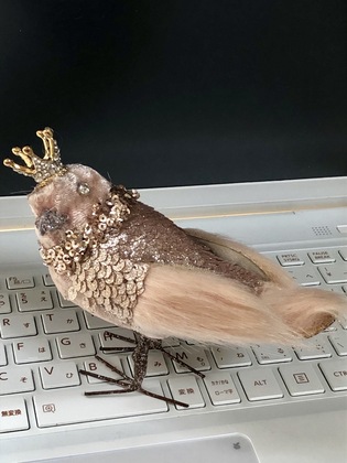 優秀な人は鳥の目でみることができます