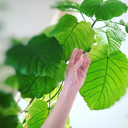 仕事がうまくいく人は「うまくいく前提」で物事を捉えている