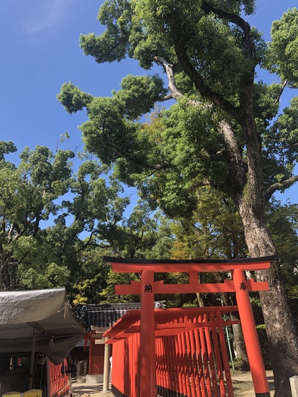 感謝と決意表明