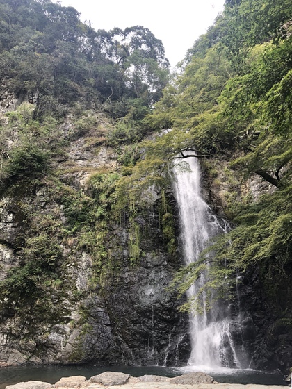 思考の整理・マインドフルネス