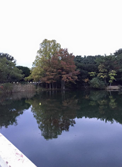 相手を変えたければ自分を変える