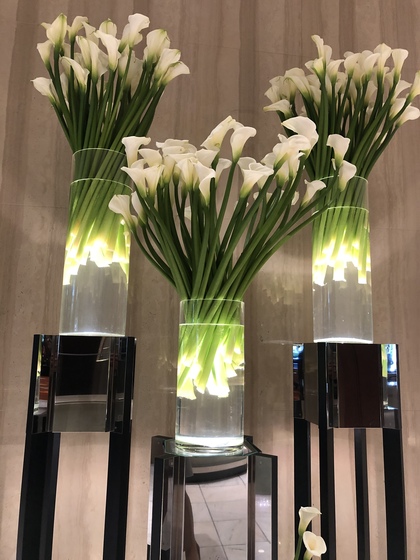 品格の定義： 群れない人