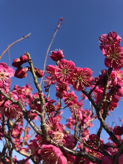 煮詰まっている時こそ余白をつくる
