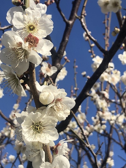時間は自分でデザインするもの