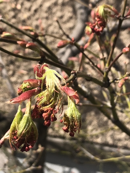 何を選択するか