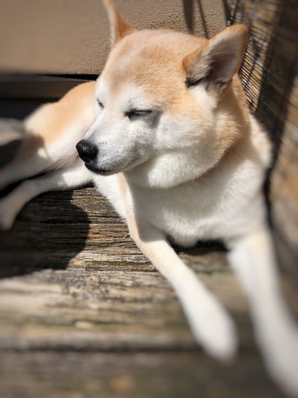 安全に！お元気で！