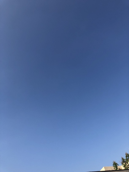 ”今ここ”マインドフルネスで心を平穏に