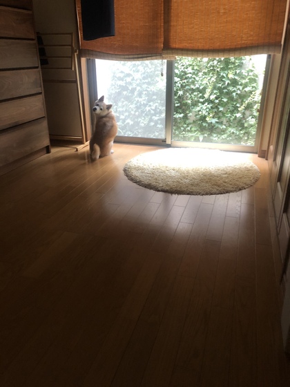 魅力的な人は余韻を残す