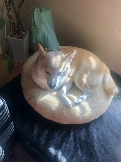 臨機応変な心と行動は最強です