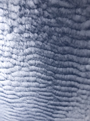 空を見上げて少し意地悪な気分になる