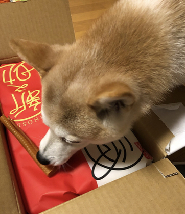 会話の中に具体性をいれると距離が縮まります