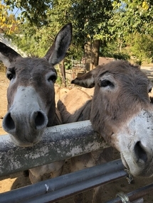 あえての”ムダ”がやる気の原動力になる