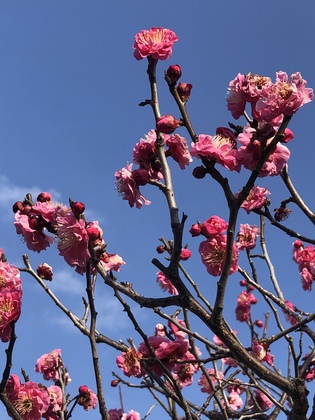 自分の波動を下げるもの