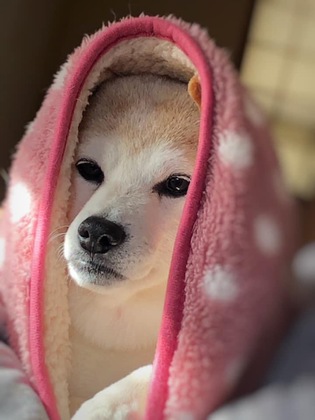 クリニックの対応に患者さんはガッカリするんです