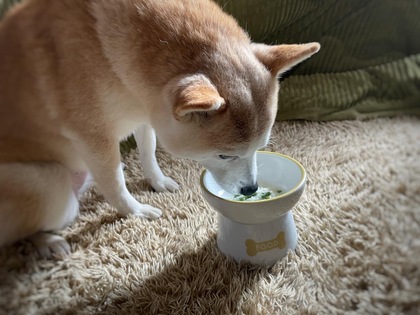 職場で許せない人がいるときは”ゆるす”をしてみよう