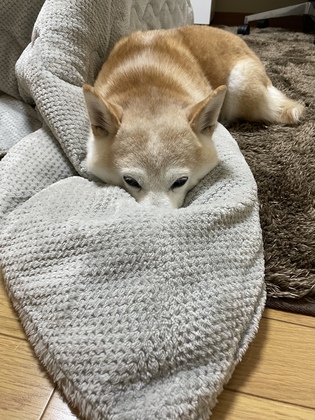 自画像を書くとわかることがあります